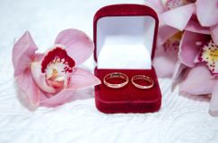 Свадьба в Карелии