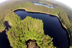 С высоты птичьего полета