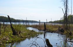 Путешествия по Карелии