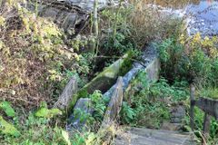 Выпуск в реку Тохма