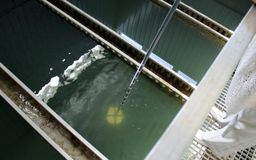 Очистные сооружения Ряякюля