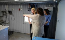 Очистные сооружения в Пухосе