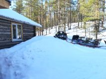 Единственный вид транспорта