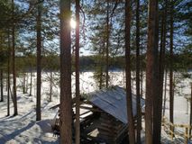 Живописный берег озера