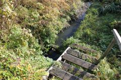 Выпуск на рельеф, КОС п. Заозерный