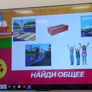 Дорожная безопасность.