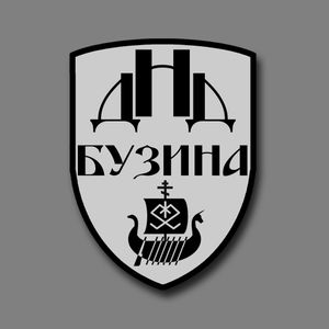 Я б в дружинники пошел, пусть меня научат!