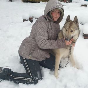 Киноуроки. «809, или Один день Вовки во исполнение Указа».