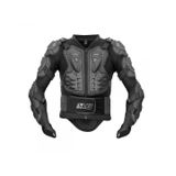 Моточерепахи