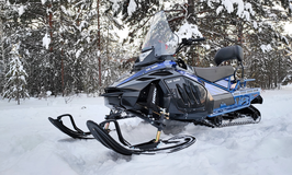 Снегоходы утилитарные