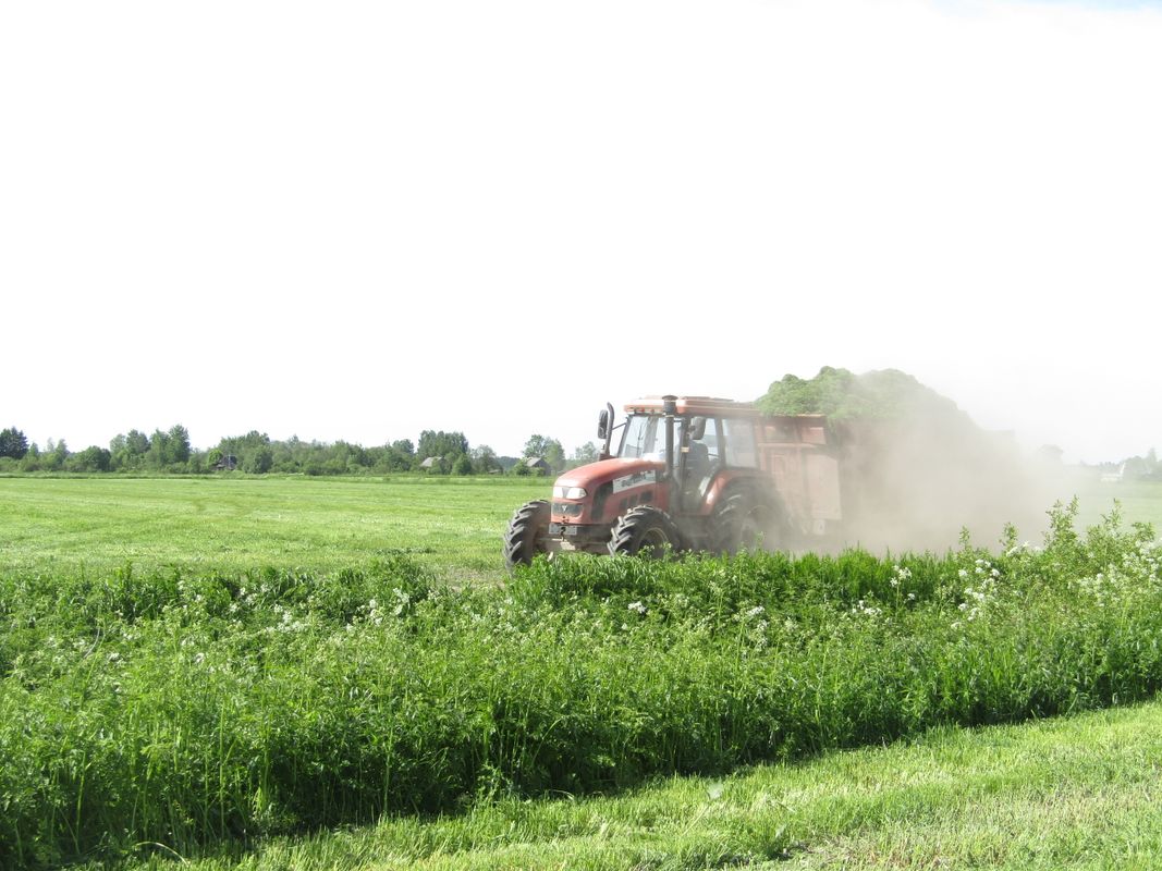 Сельское хозяйство Карелии. Республика Карелия сельское хозяйство. Растениеводство в Карелии. Земледелие в Карелии