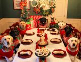 В это Рождество пара решила устроить торжественный обед и для своих любимцев, накрыв для них отдельный стол. Выяснилось, что собаки тоже любят праздники — только взгляните, как смирно они сидят!