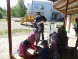 Знатоки дорожных правил