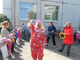 Знатоки дорожных правил