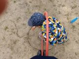 День физкультурника в детском саду