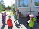 Знатоки дорожных правил