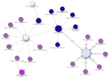 Системный оператор.