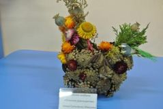 группа № 06 а "Звездочки"