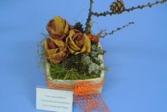 группа № 06 а "Звездочки"