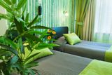 Comfort Room "Green"