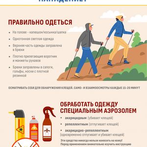 Клещевой энцефалит