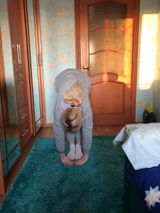 Кубарева Екатерина