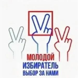 Мы - молодые избиратели