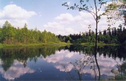 Blue Road – Karelian Summer