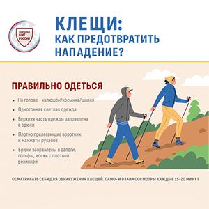 Клещевой энцефалит