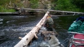 Трудности начались