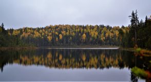 Осенний лес завораживает
