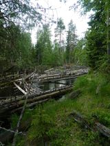 Главными препятствиями оказались 35 завалов