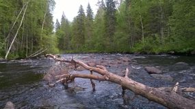 Красоты Калевальского нацпарка