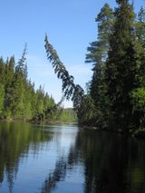 Типичная карельская река