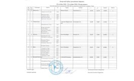 1 разряд, 2006-2008 г.р., 2 вида, групповые