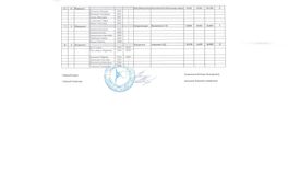 КМС 2003-2006 г.р., групповые