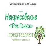 Некрасовские «РосТочки»