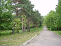 3 место - Агеева Диана, Родные просторы, художественная фотография, Муратова Мария Сергеевна,Силинская ОШ, 14 лет