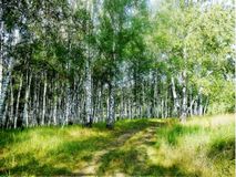 1 место - Евланова Алёна, родные просторы, Смирновская СШ, художественная фотография, Урвина Татьяна Анатольевна, 17 лет