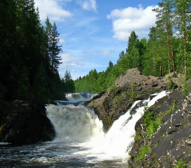 Таежные леса Кивач