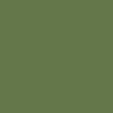 RAL 6025 Папоротниково-зеленый
