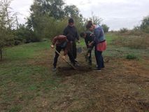 "День древонасаждения"