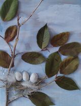 Громов Максим, 3 класс