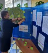 Акция «Дерево жизни»