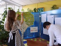 Акция «Дерево жизни»