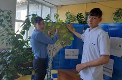 Акция «Дерево жизни»