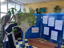 Акция «Дерево жизни»