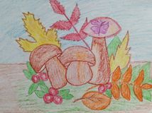 Колпиков А., 7 кл