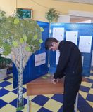 Акция «Дерево жизни»
