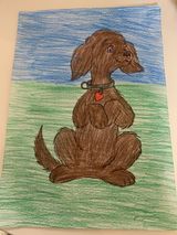 Савкин Роман , 13 лет